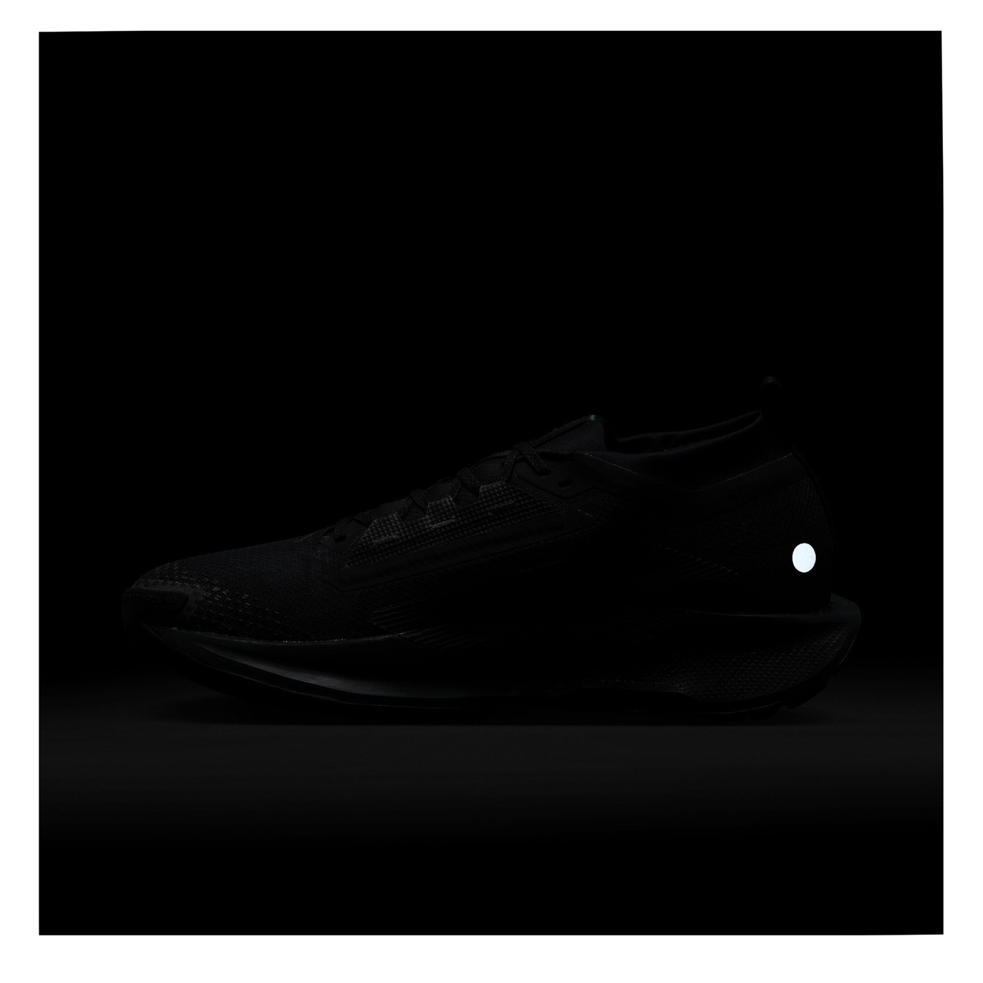 Nike Pegasus Trail 5 GORE-TEX Trail Running Shoes Mens - 11