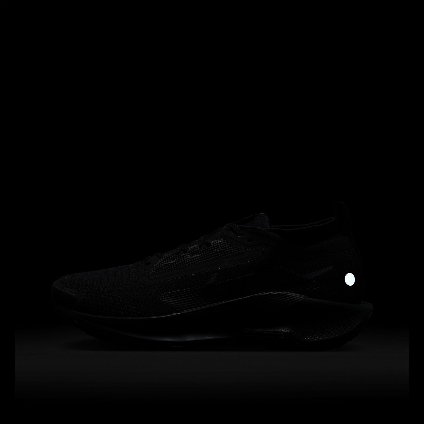 Nike Pegasus Trail 5 GORE-TEX Trail Running Shoes Mens - 10