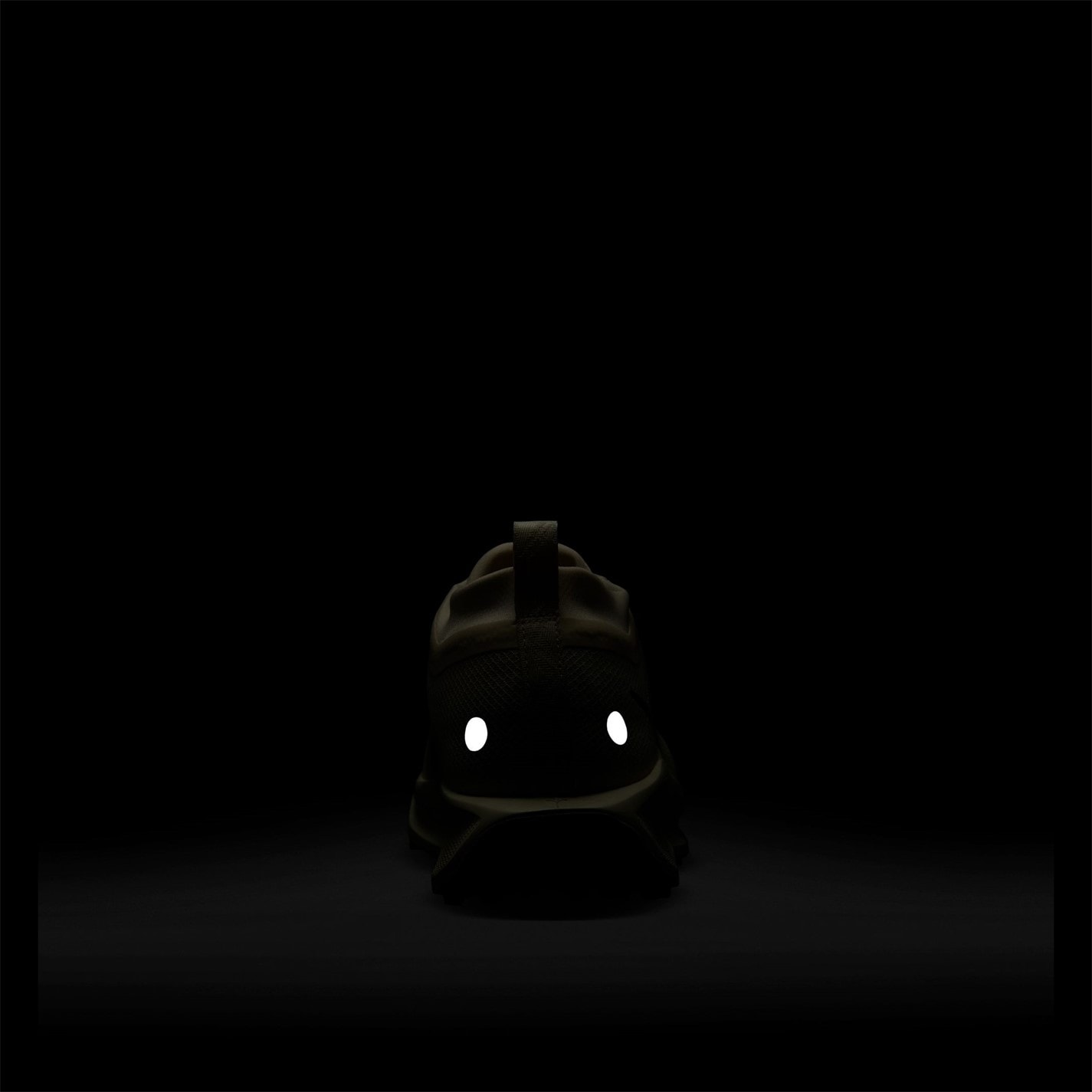 Nike Pegasus Trail 5 GORE-TEX Running Shoes Mens - 11