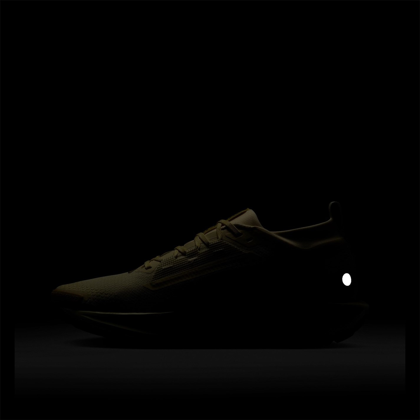 Nike Pegasus Trail 5 GORE-TEX Running Shoes Mens - 12