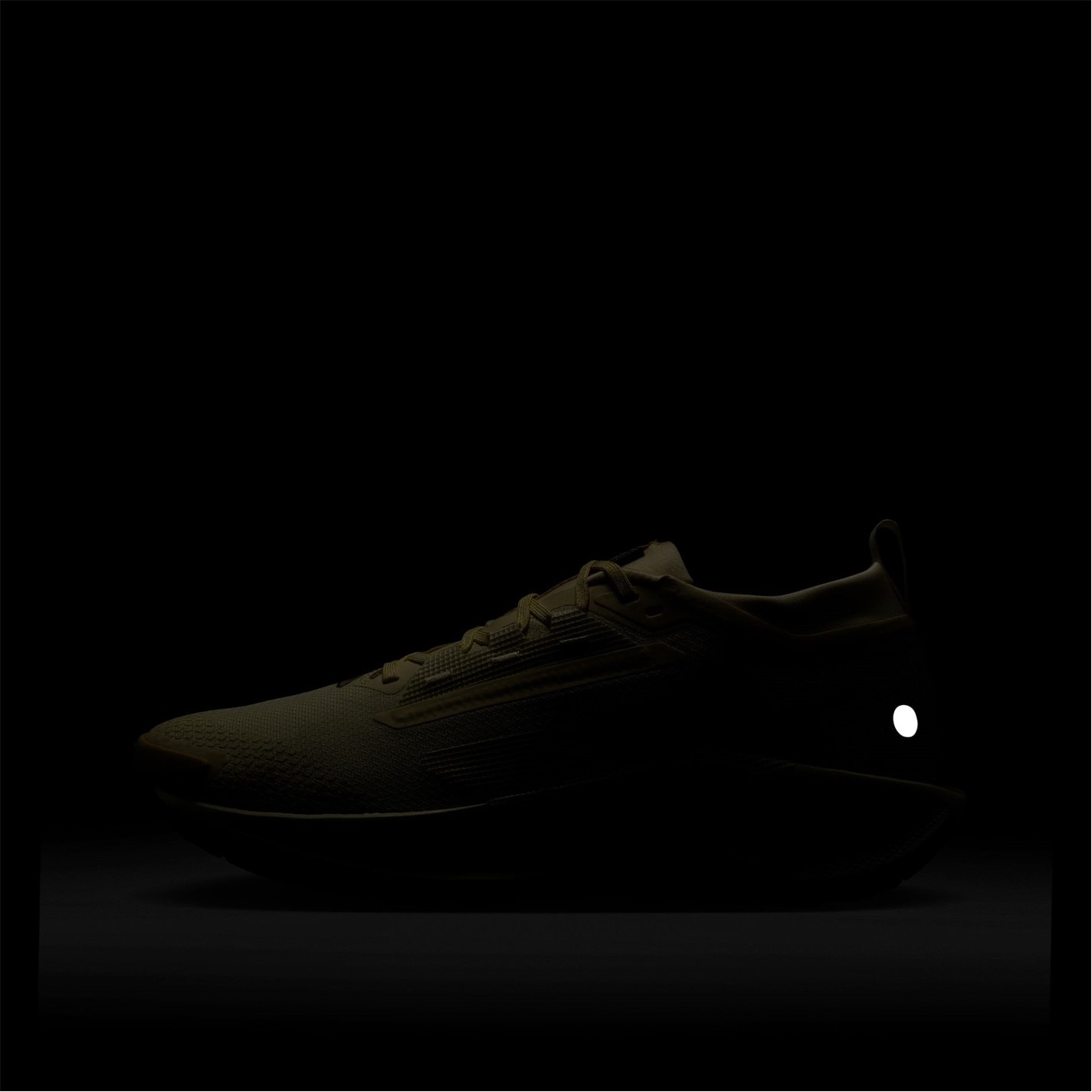 Nike Pegasus Trail 5 GORE-TEX Running Shoes Mens - 10