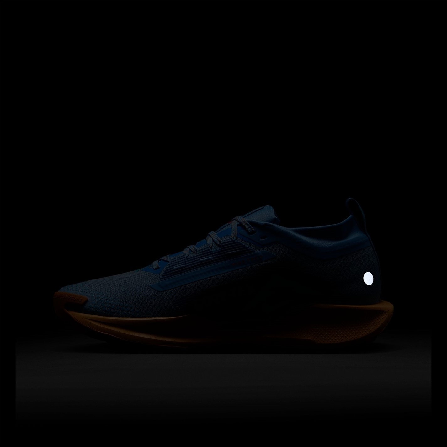 Nike Pegasus Trail 5 GORE-TEX Running Shoes Mens - 11