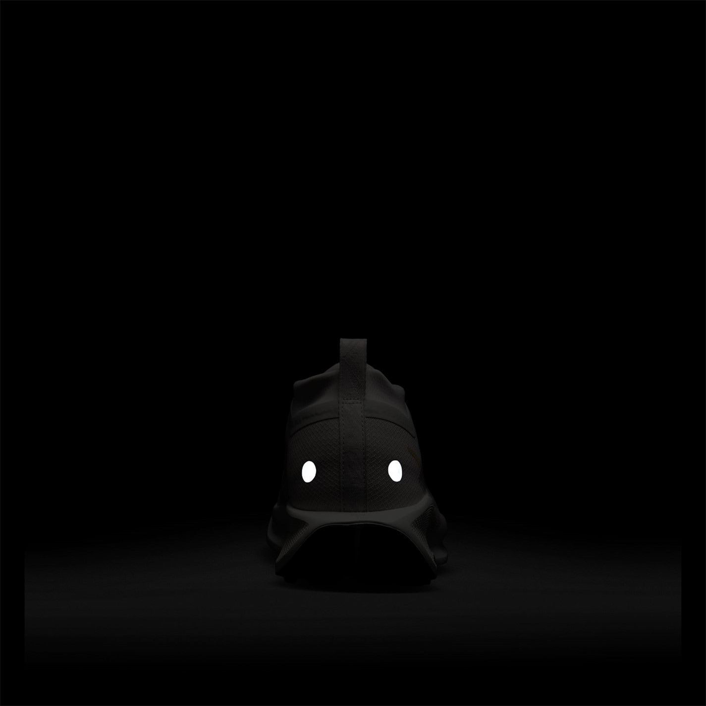 Nike Pegasus Trail 5 GORE-TEX Running Shoes Mens - 11