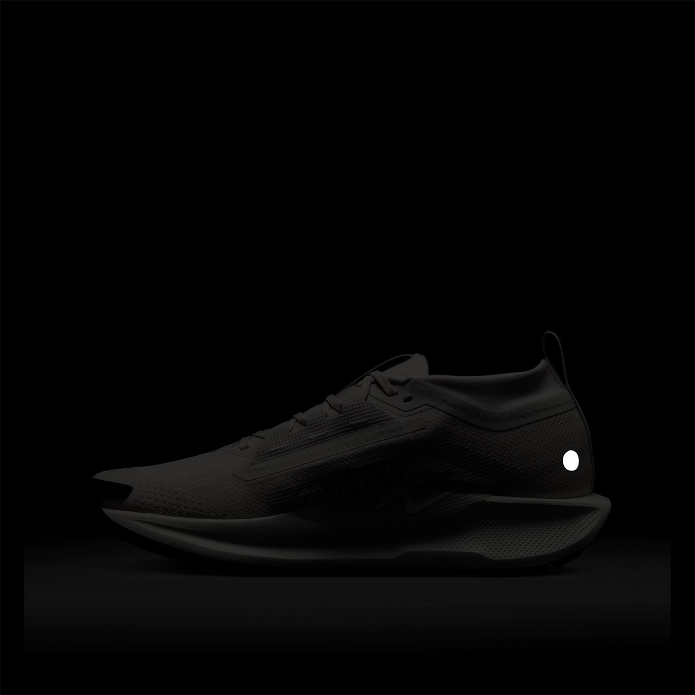 Nike Pegasus Trail 5 GORE-TEX Running Shoes Mens - 12