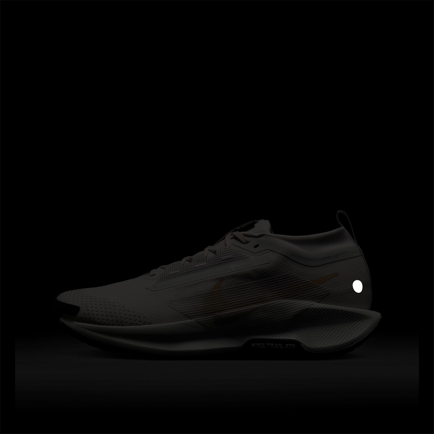 Nike Pegasus Trail 5 GORE-TEX Running Shoes Mens - 10