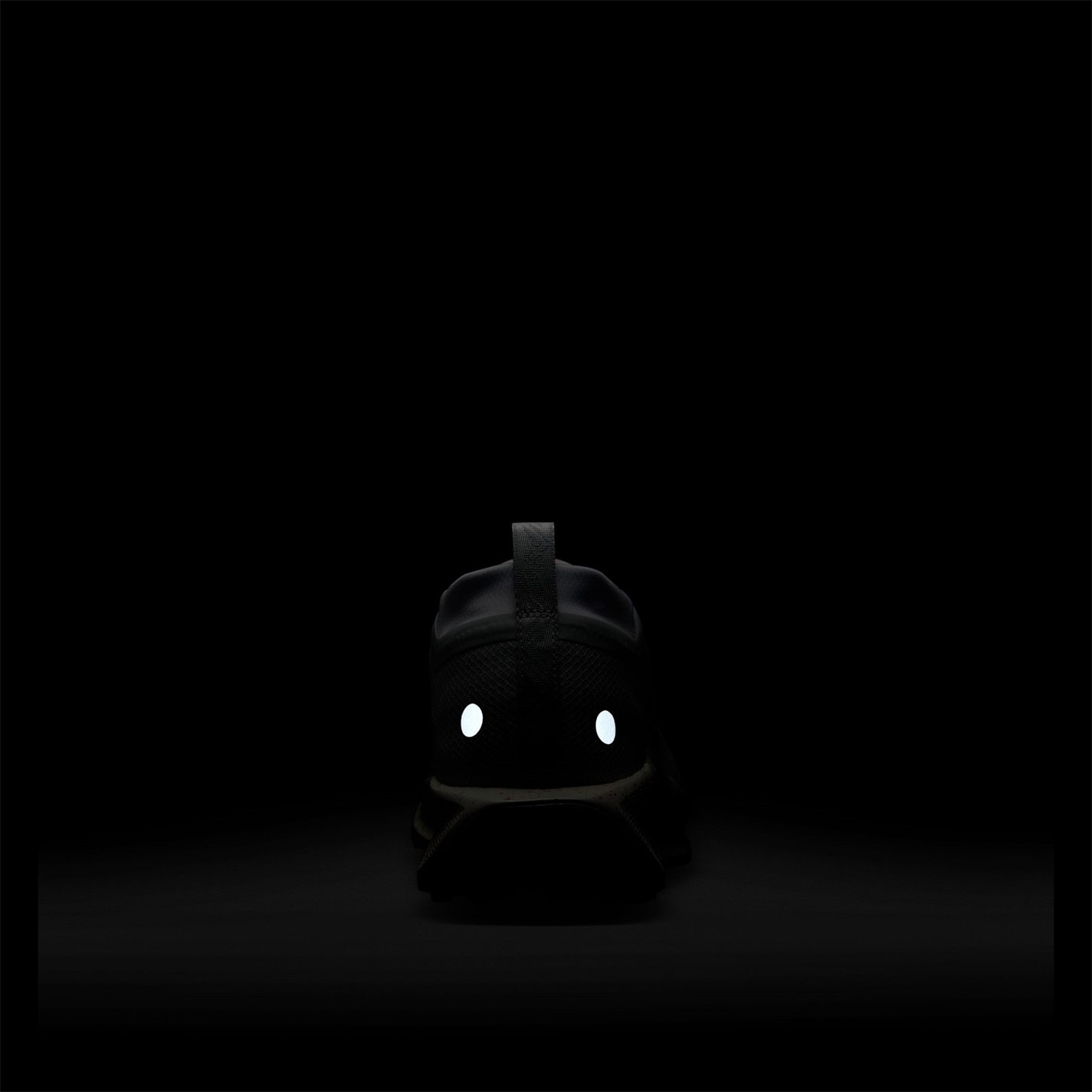 Nike Pegasus Trail 5 GORE-TEX Running Shoes Mens - 11