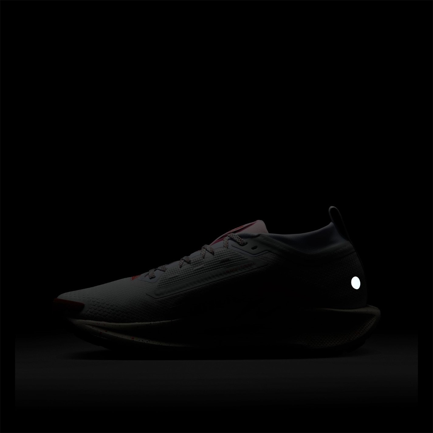 Nike Pegasus Trail 5 GORE-TEX Running Shoes Mens - 12