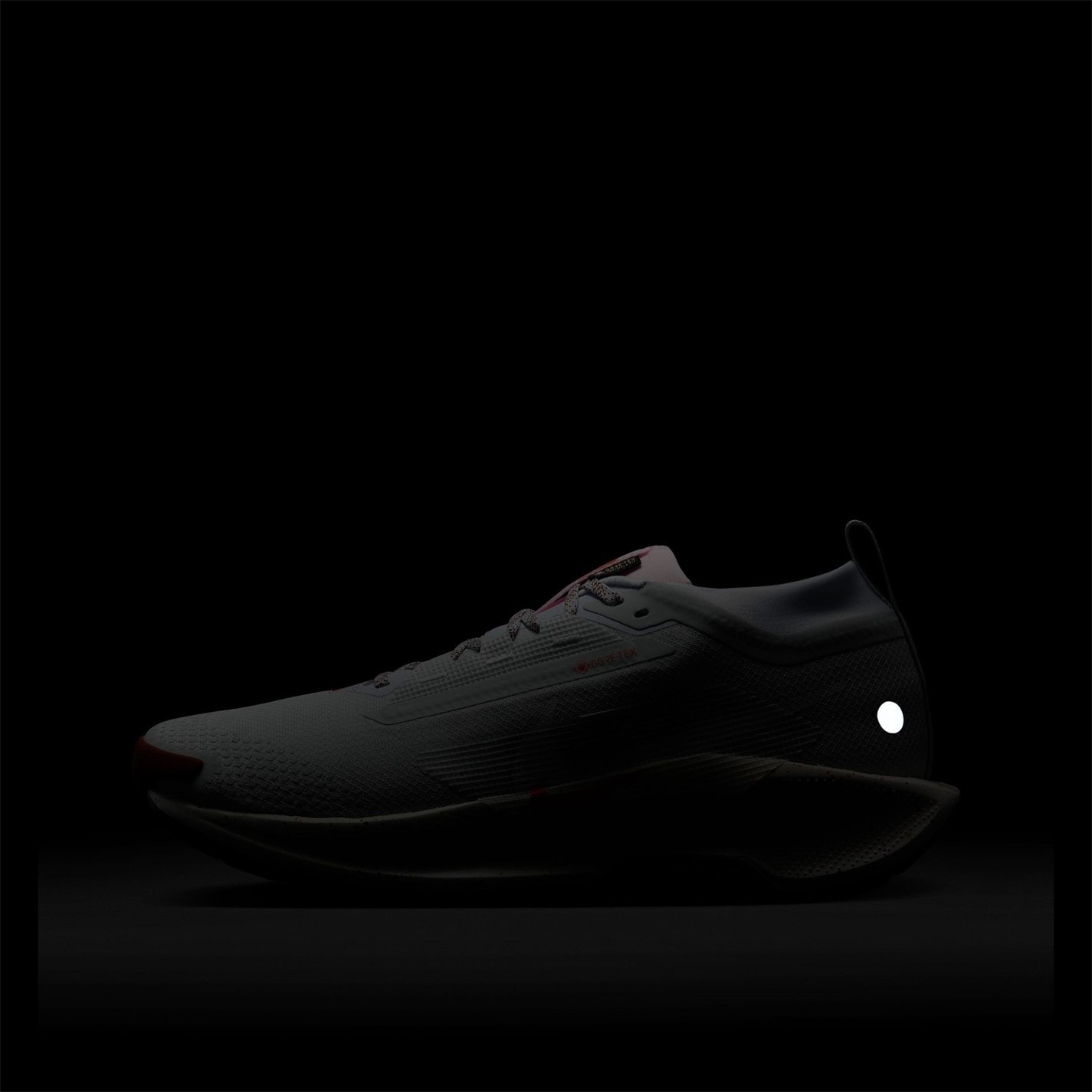 Nike Pegasus Trail 5 GORE-TEX Running Shoes Mens - 10