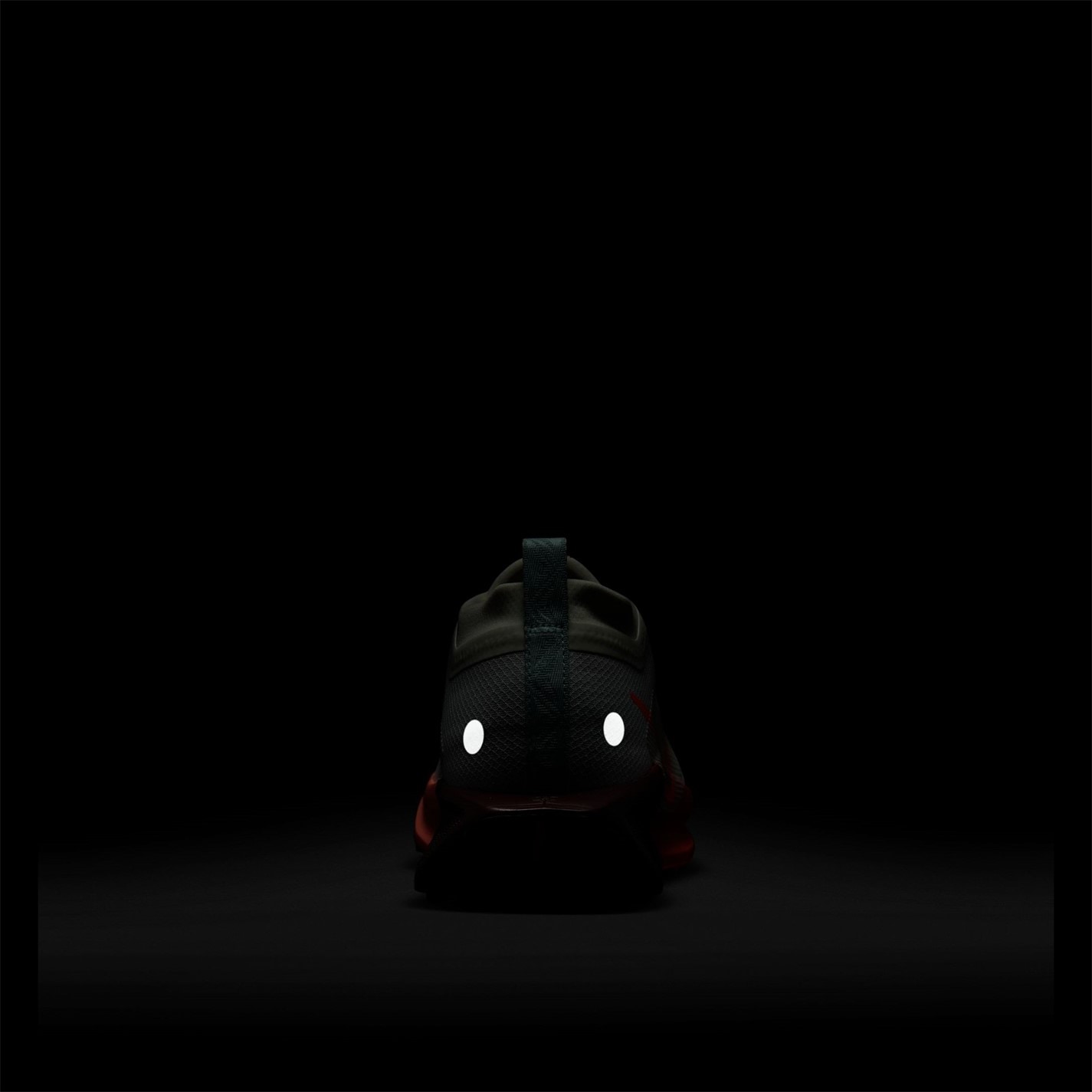 Nike Pegasus Trail 5 GORE-TEX Running Shoes Mens - 11