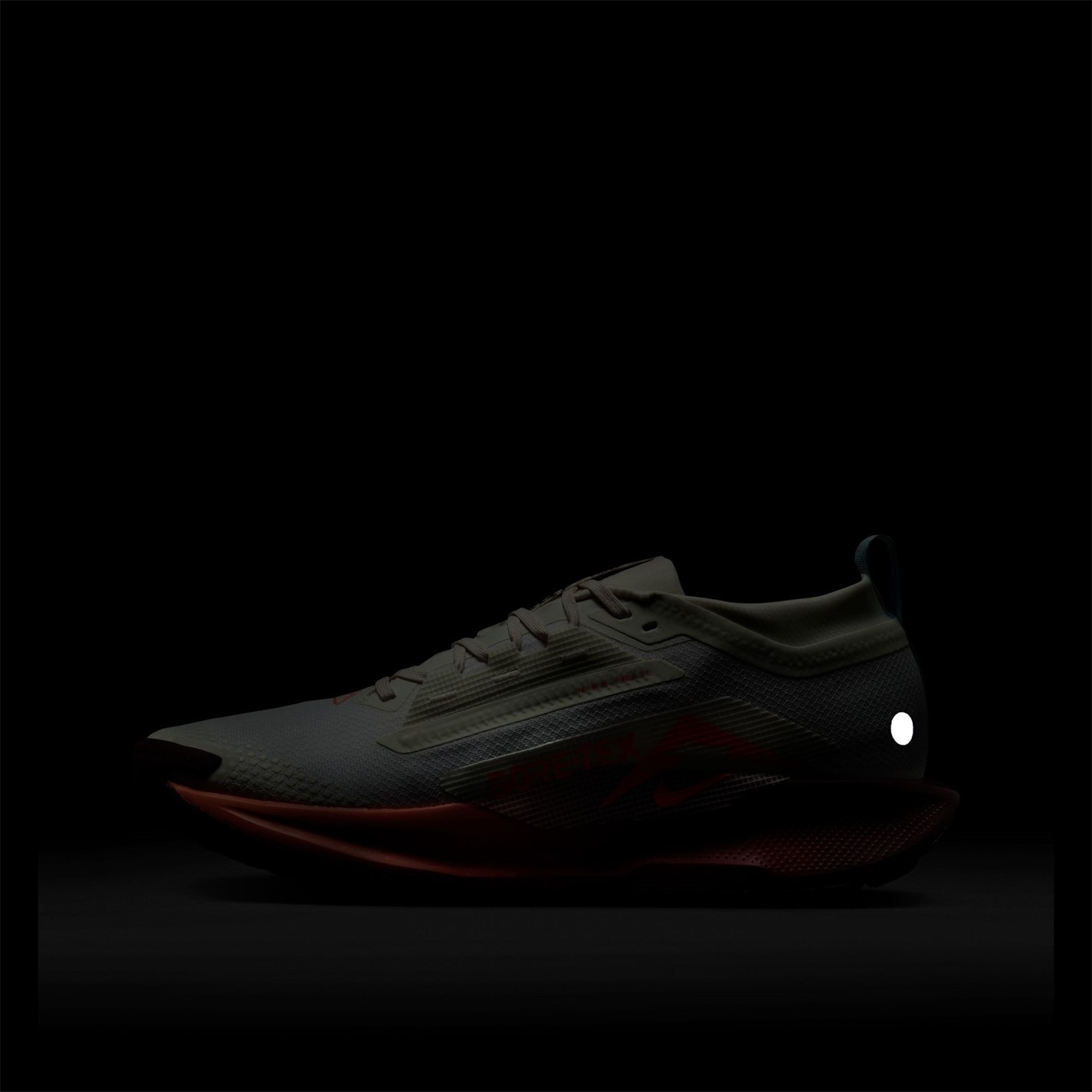 Nike Pegasus Trail 5 GORE-TEX Running Shoes Mens - 12