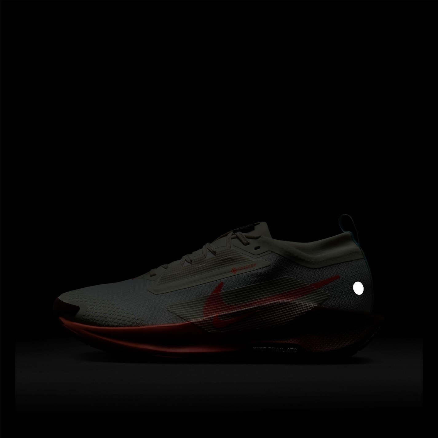 Nike Pegasus Trail 5 GORE-TEX Running Shoes Mens - 10