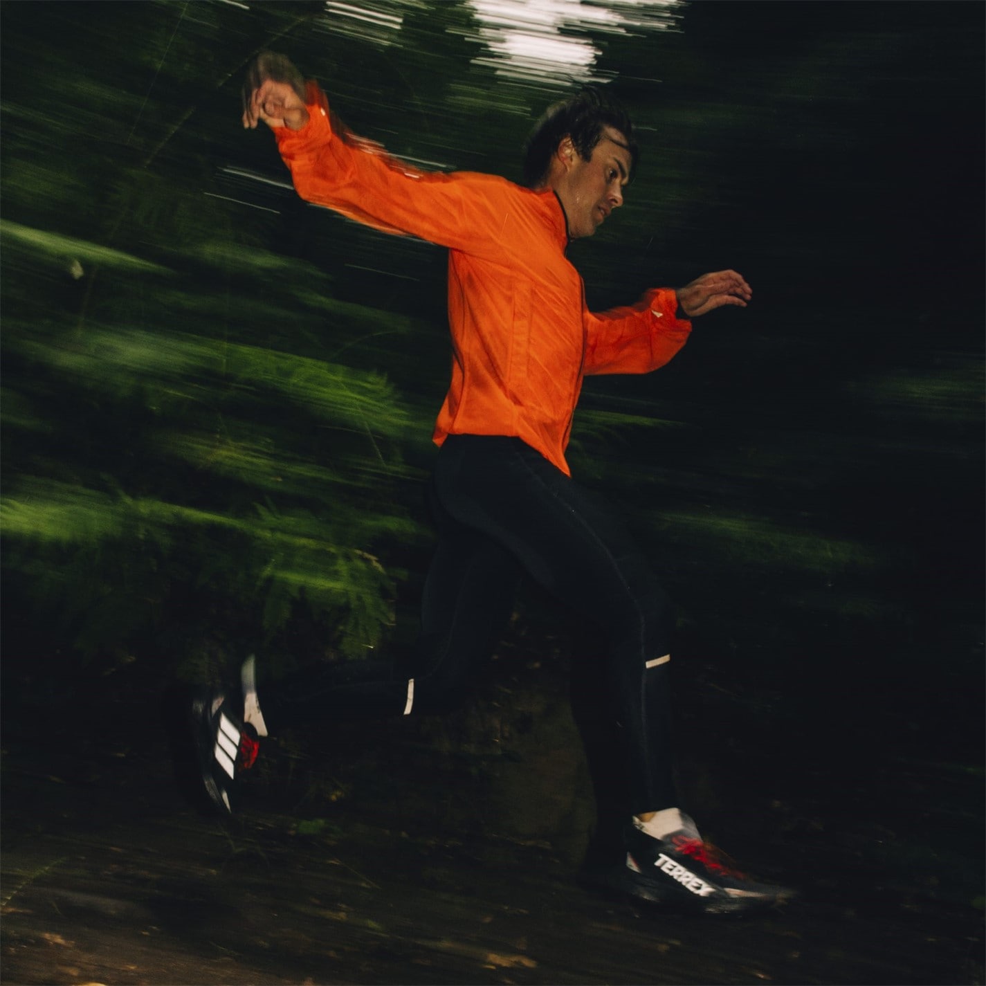 adidas Agravic Gore-Tex Trail Running Shoes - 13