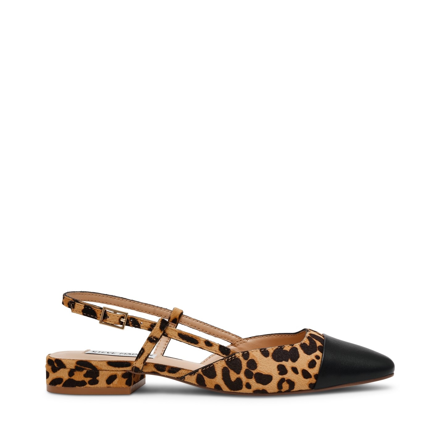 Steve Madden Leopard 7369637