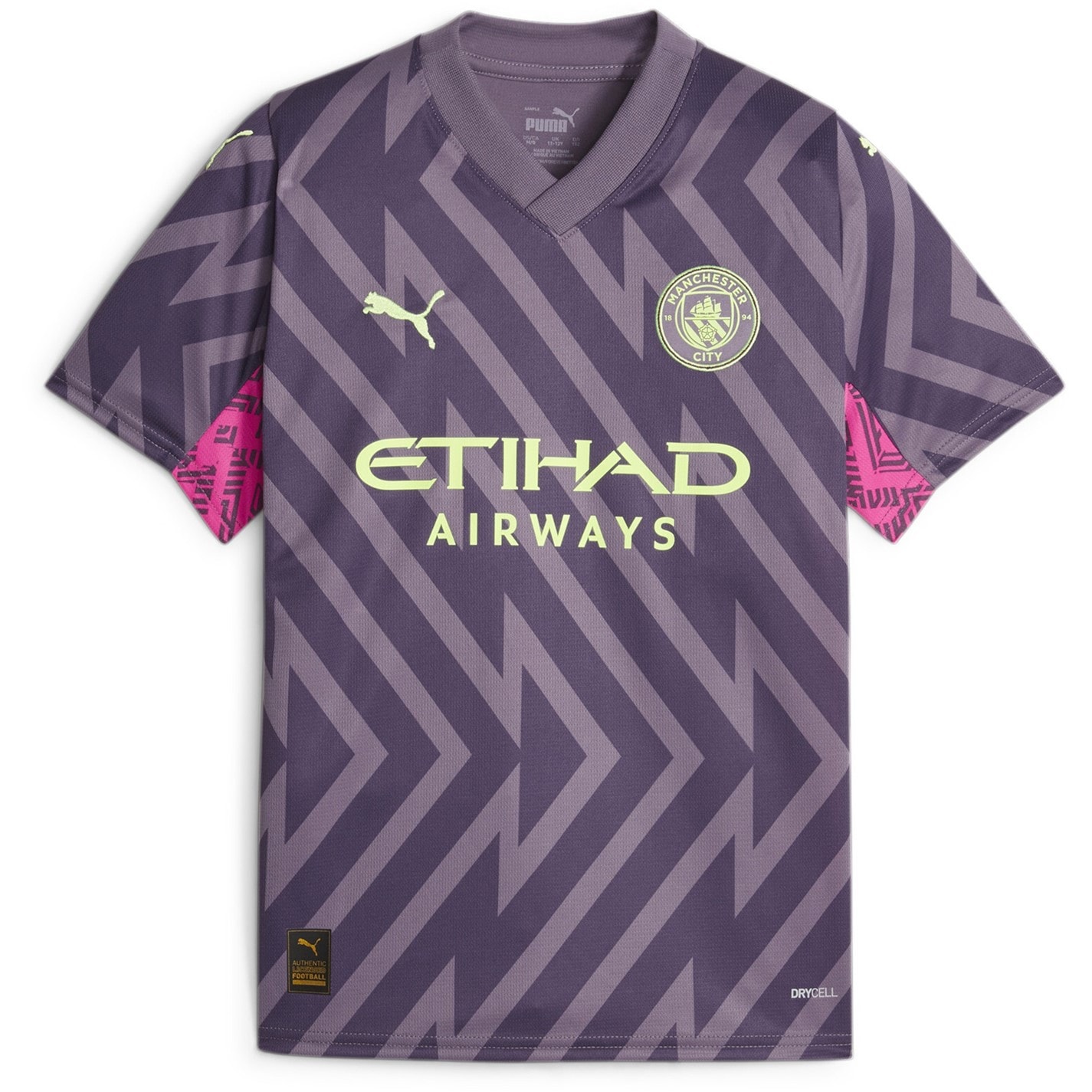 Manchester City Puma Purple Charc 2978184