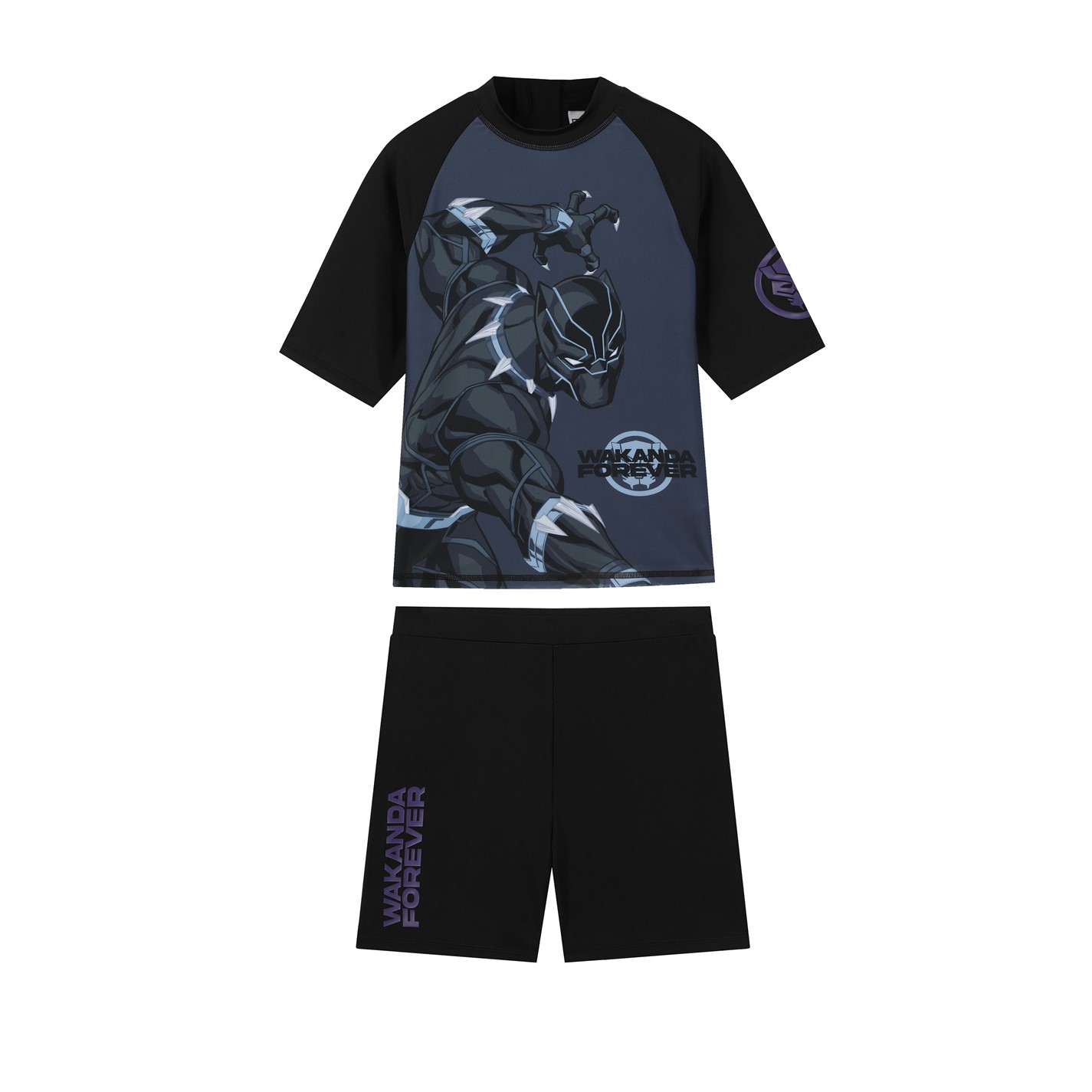 Character Black Panther 9093880