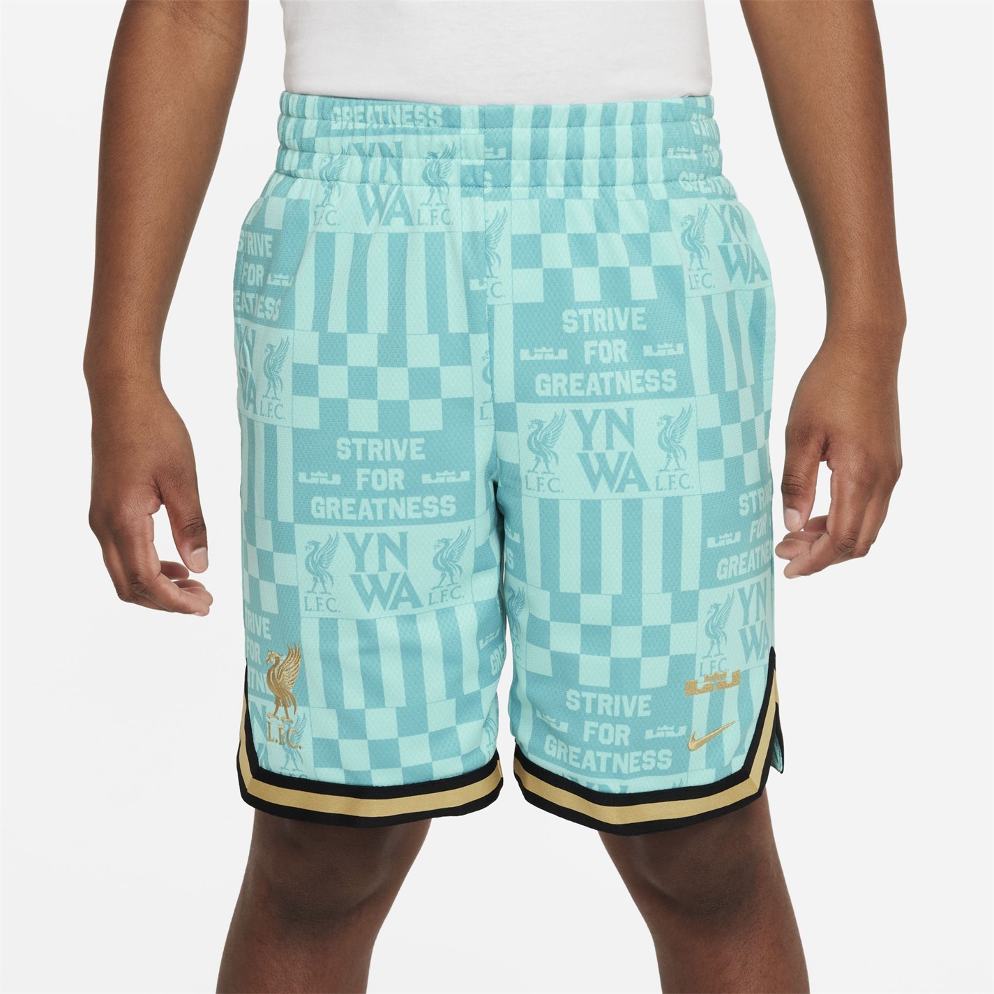 FC Liverpool Nike Tropical Twist 6704003