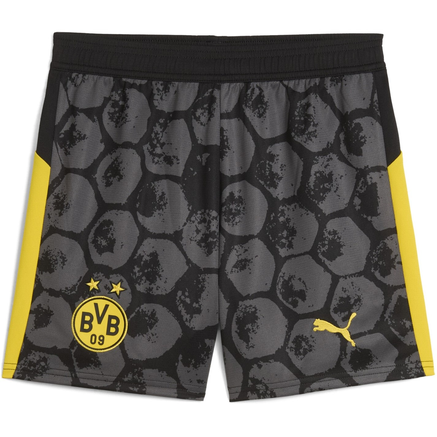 Borussia Dortmund Puma Black 9499881