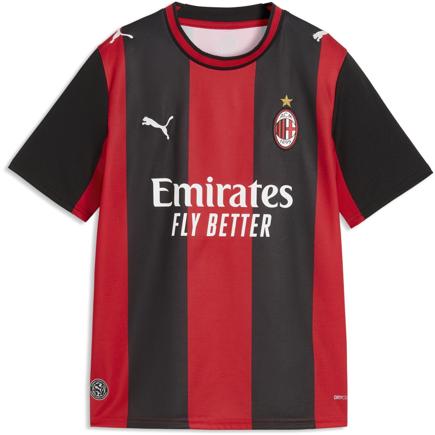 AC Milan Puma Black 2950411