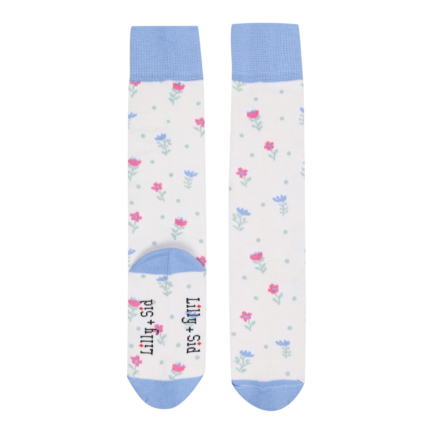 Lilly and Sid Multi 3968942