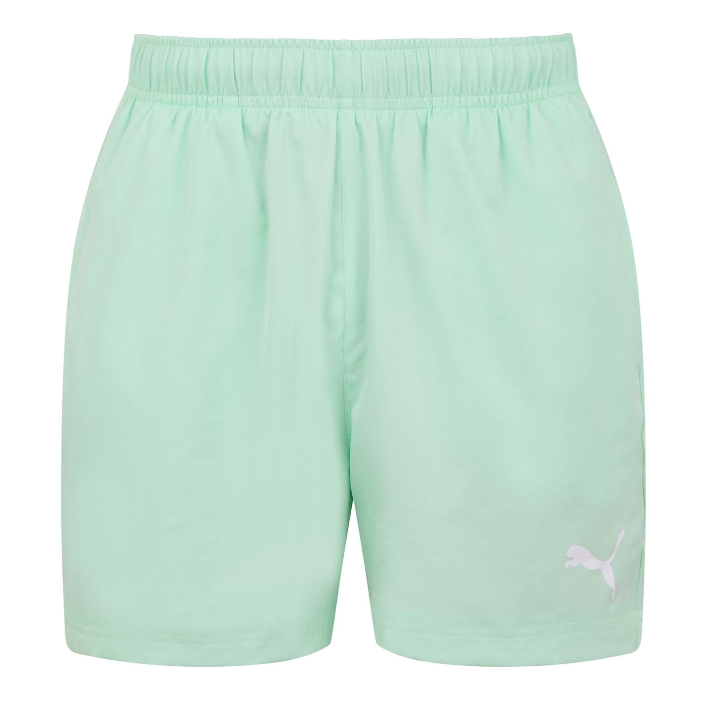Fresh Mint