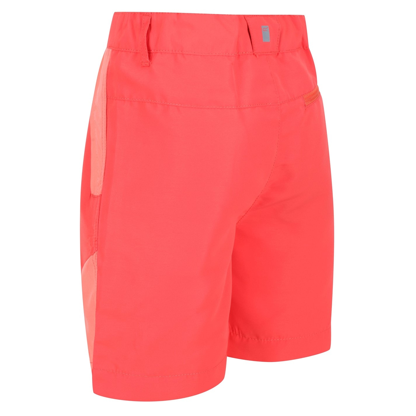 Regatta NeonPch 2136497 Unisex Kids' SorcerMountS Walking Shorts - 3