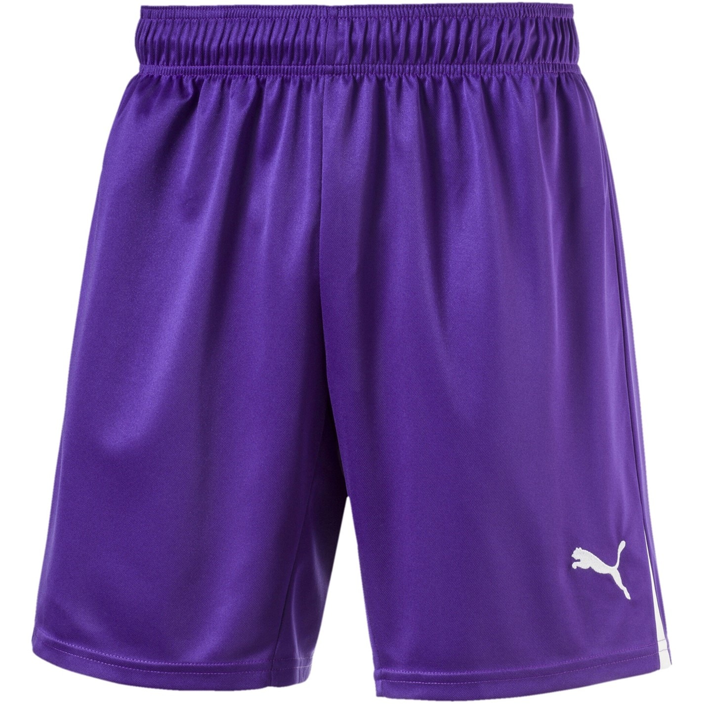 Puma Purple 912764 (50) (Fb) Boy Team Shorts Juniors - 1