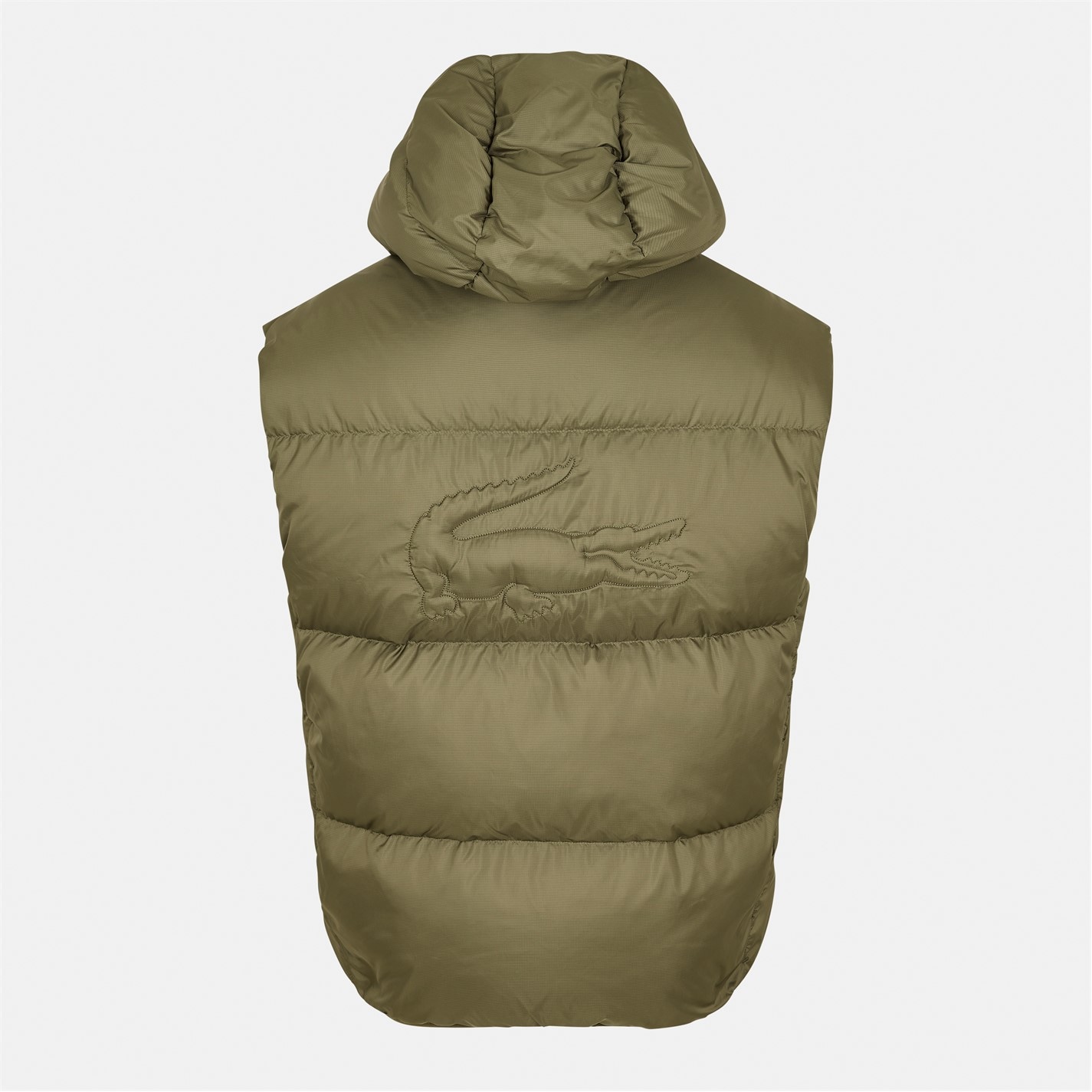 Vesta Lacoste Khaki 7800621