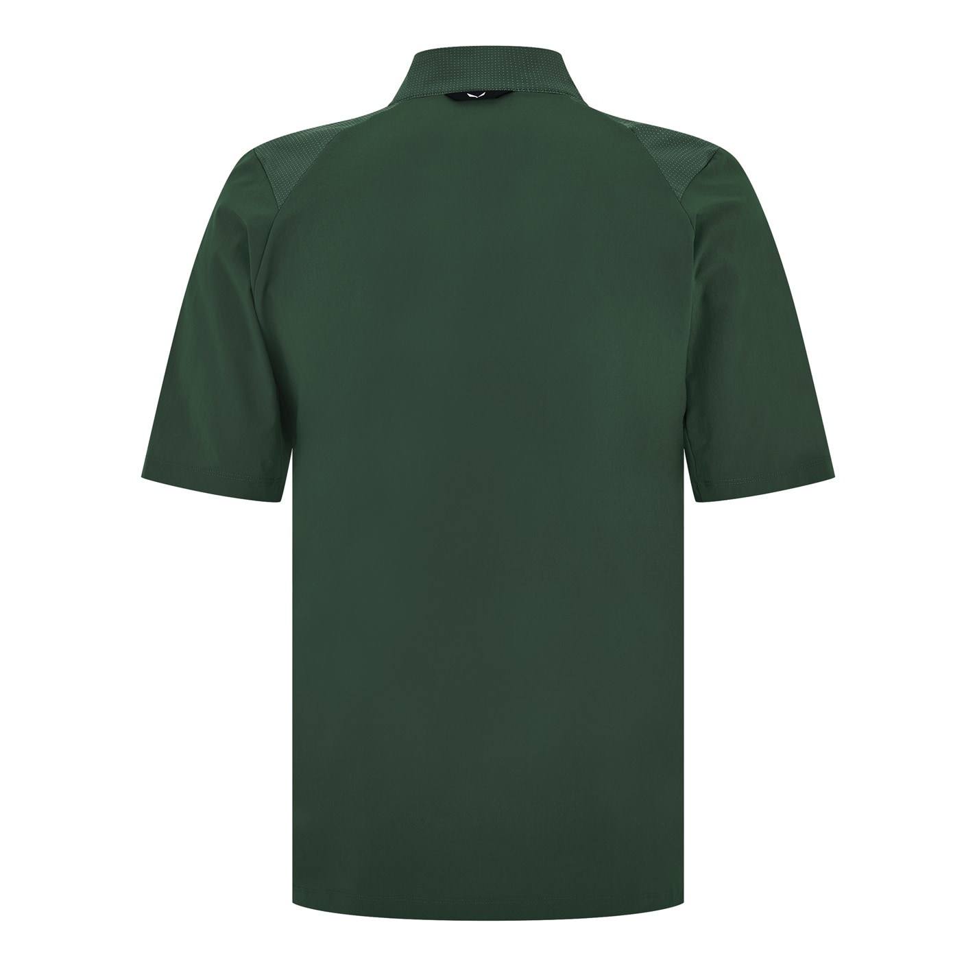 Tričko Salewa Raw Green 3099174 Men's Short-Sleeve Performance Gym Top - 2
