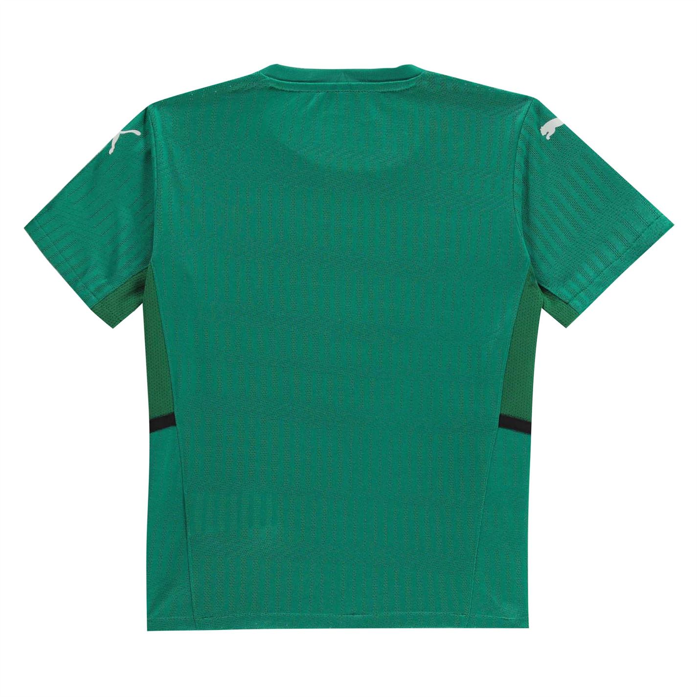 Tričko Puma Pepper Green 2596845 Team Cup Jersey Top Junior - 2
