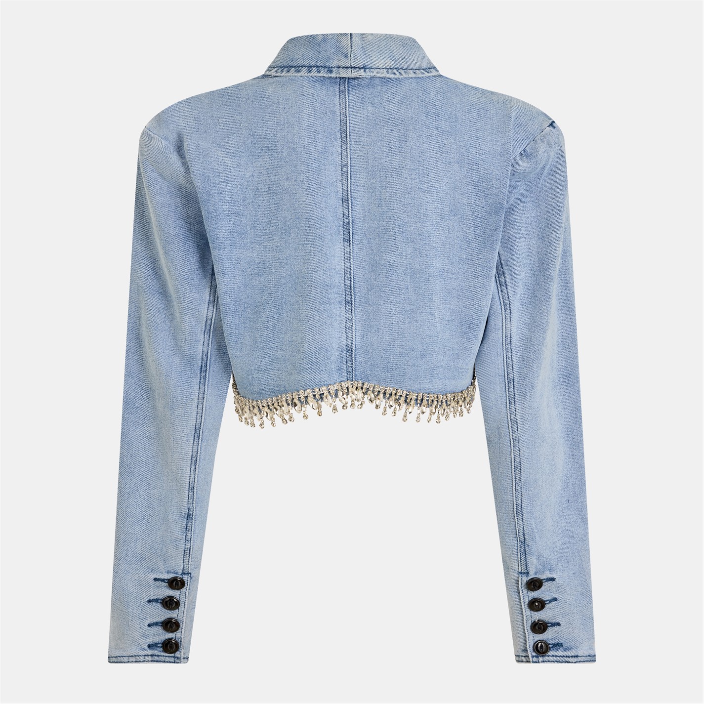 AmyLynn Emblsh Dn Jk Ld99 - 2