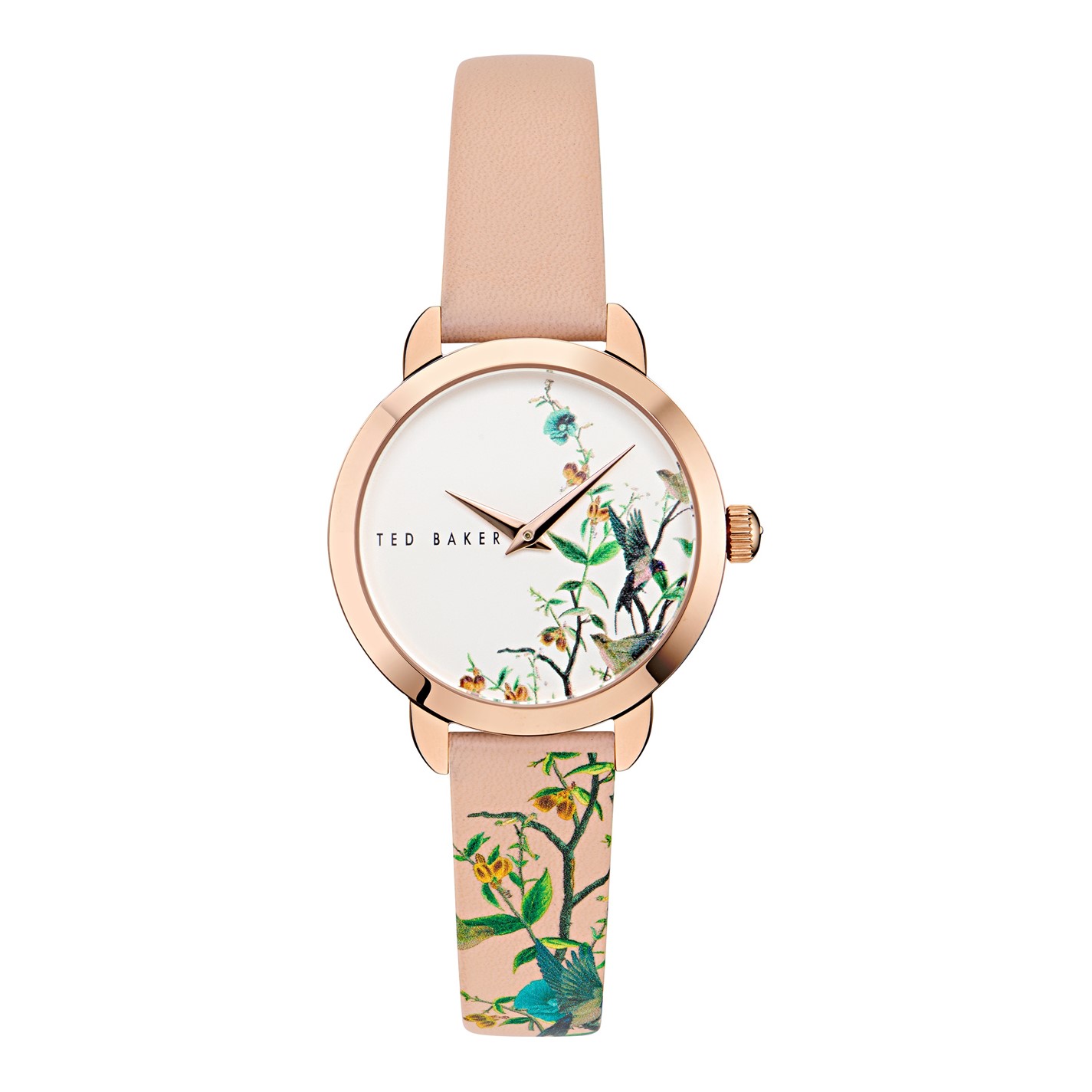 Hodinky Ted Baker Multi 1128071