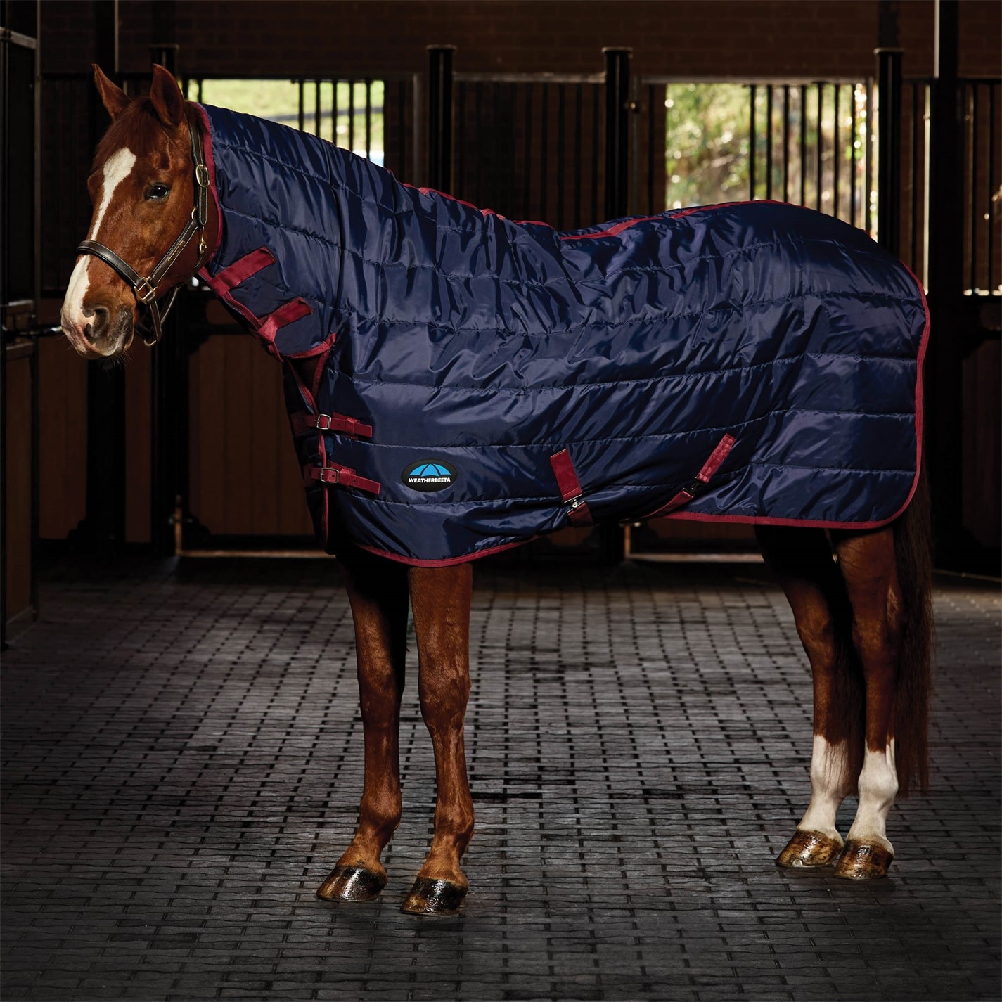 Weatherbeeta Navy 457225