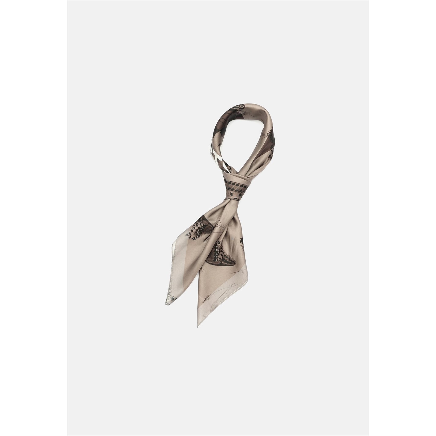 AllSaints CINNAMON BROWN 7182116