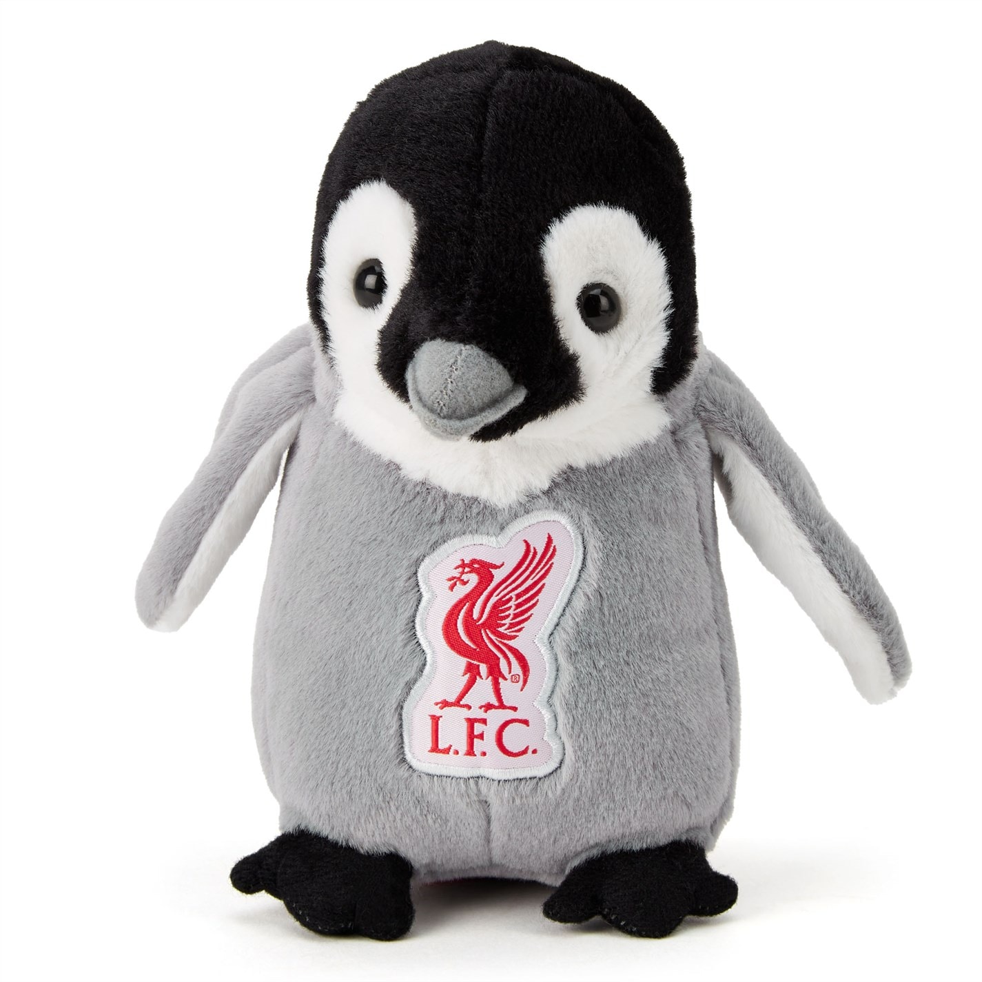 FC Liverpool Team Liverpool FC 1577637