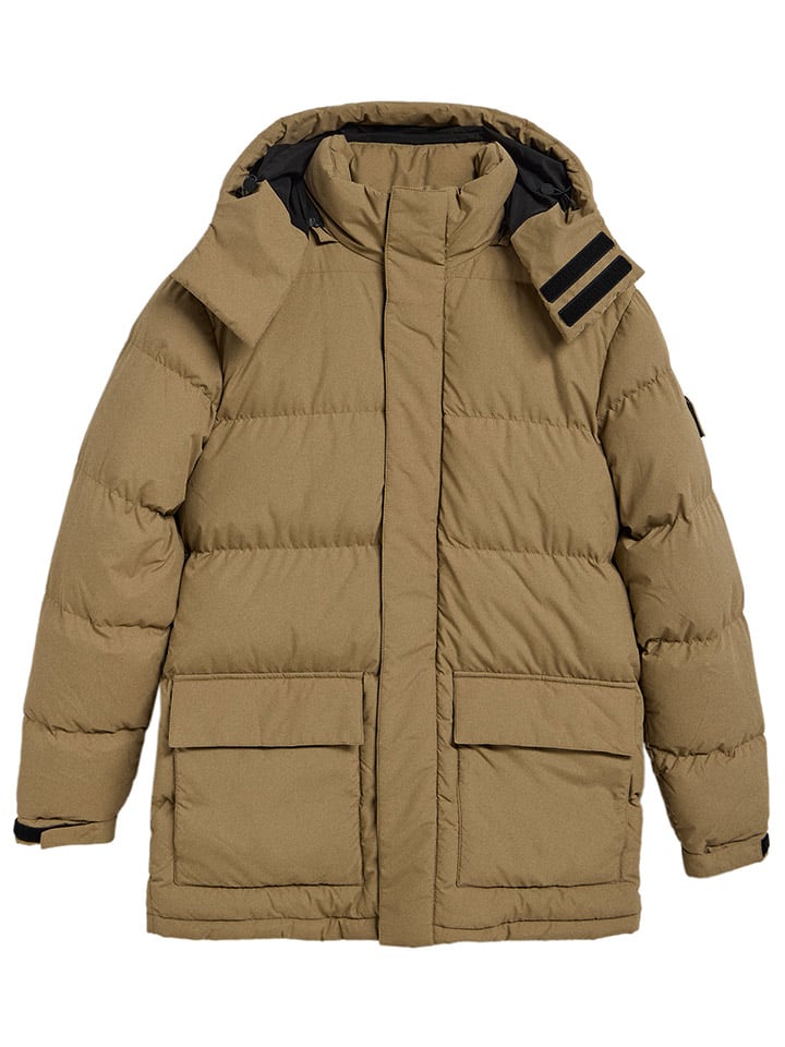 Bunda Polo Club Beige 2044995