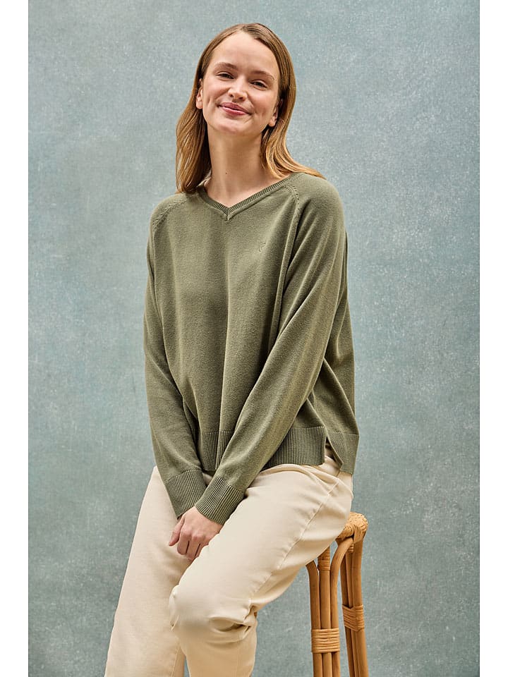 Sveter Polo Club Oliv 7063289 Pullover in Oliv - 7