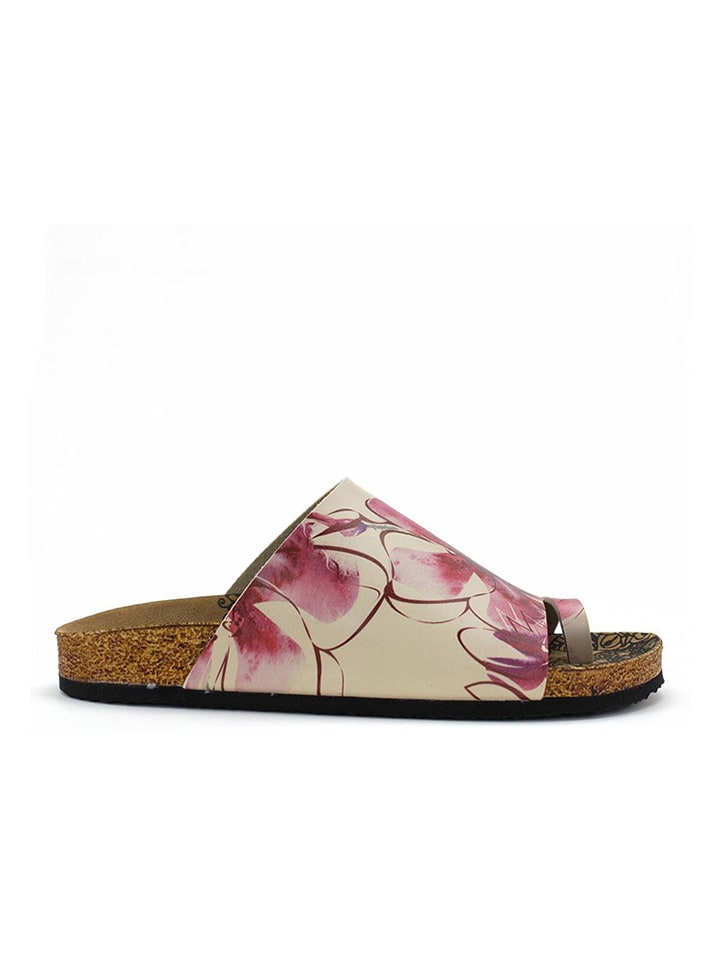 Calceo Creme/ Pink 9375230 Zehentrenner in Creme/ Pink - 4