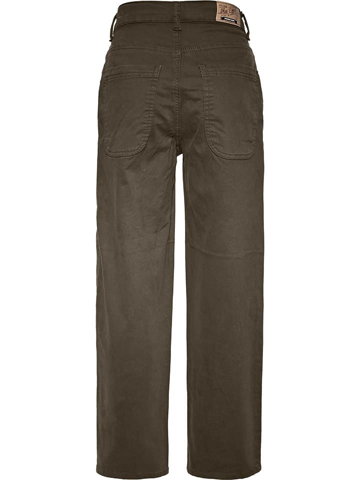 Blue Effect Braun 3410020 Hose in Braun - 2