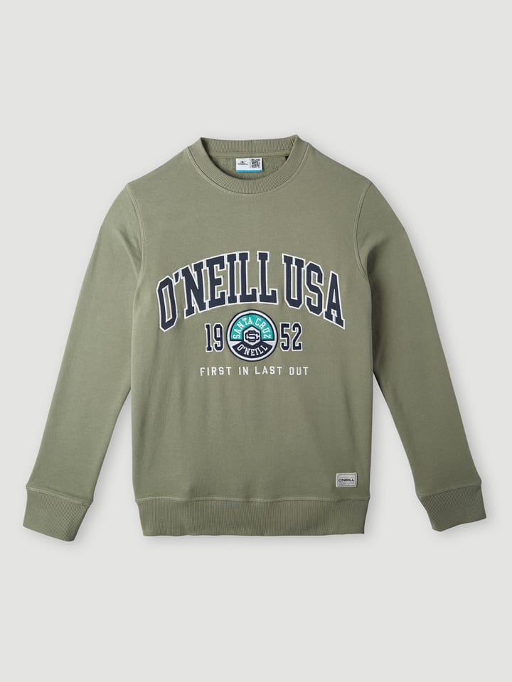 Dětská mikina O'Neill Grün 4189169 Sweatshirt "Surf State" in Grün - 1