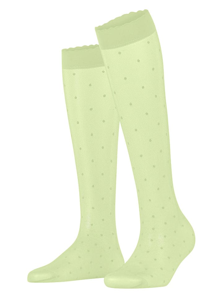 Ponožky Falke Grün 9059806 Socken "Dot" in Grün - 1