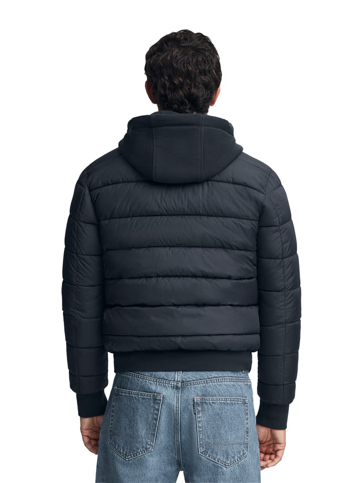 Bunda Polo Club Dunkelblau 417903 Steppjacke in Dunkelblau - 2