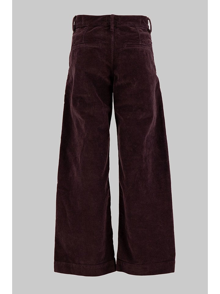 G-Star Rot 7745345 Chino in Rot - 2