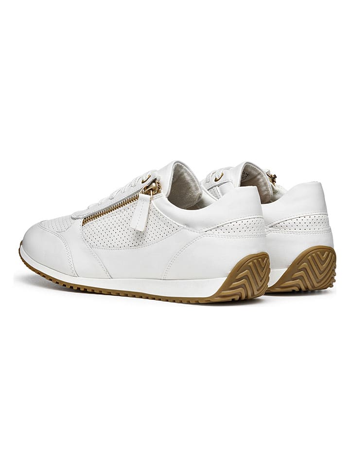 Tenisky Geox Weiß 3623679 Sneakers "Calithe" in Weiß - 4