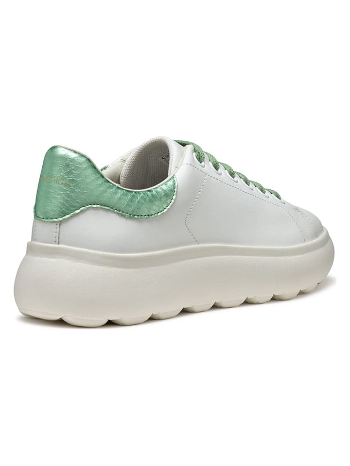 Tenisky Geox Weiß/ Grün 7766306 Leder-Sneakers "Spherica EC4" in Weiß/ Grün - 4