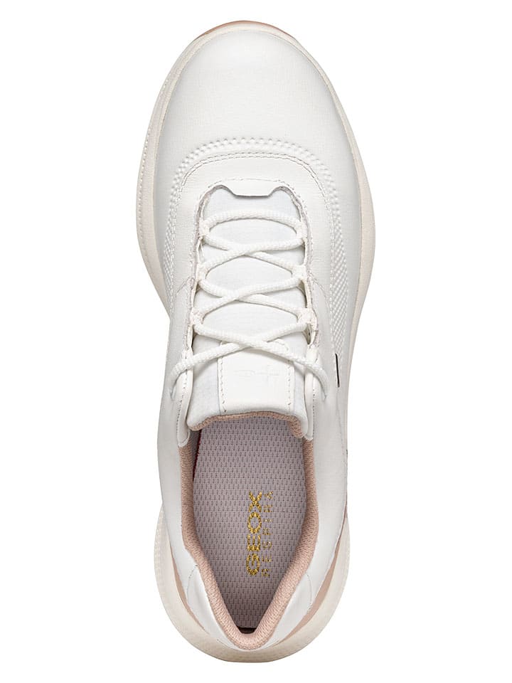 Tenisky Geox Creme/ Beige 3337308 Leder-Sneakers "PG1X" in Creme/ Beige - 5