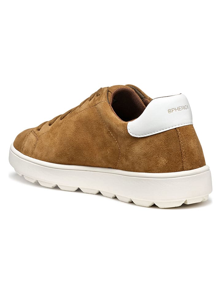 Tenisky Geox Hellbraun 7882973 Leder-Sneakers "Spherica Ecub" in Hellbraun - 3
