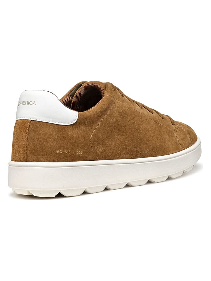 Tenisky Geox Hellbraun 7882973 Leder-Sneakers "Spherica Ecub" in Hellbraun - 4