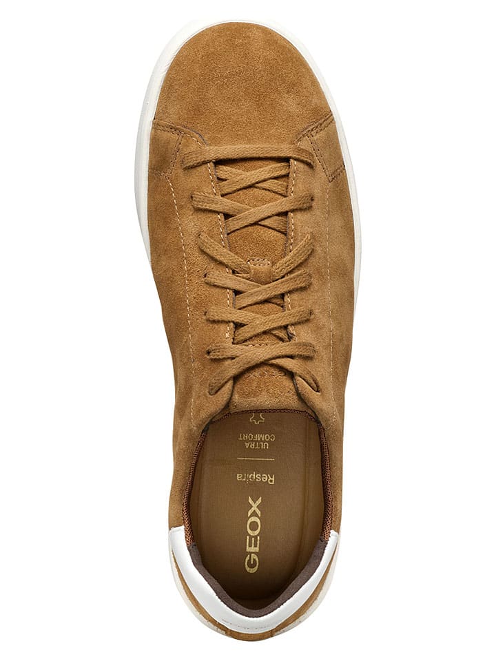 Tenisky Geox Hellbraun 7882973 Leder-Sneakers "Spherica Ecub" in Hellbraun - 5