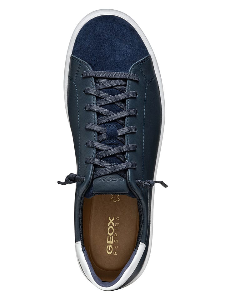 Tenisky Geox Dunkelblau 8504257 Leder-Sneakers "Spherica Ecub" in Dunkelblau - 6
