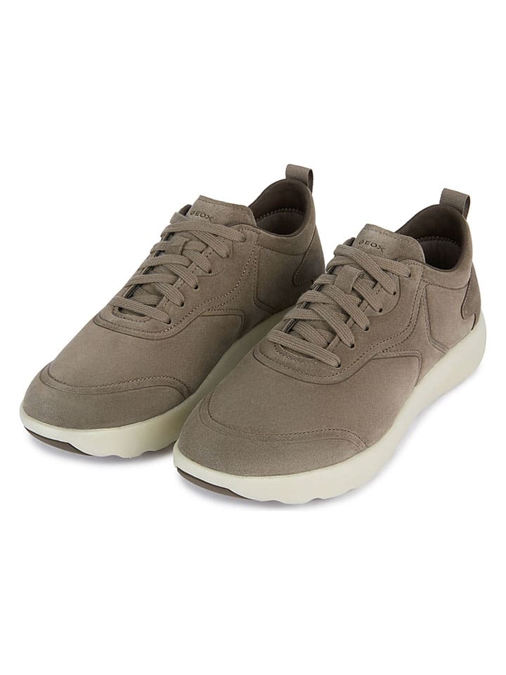 Tenisky Geox Braun 1603092 Leder-Sneakers "Xtors" in Braun - 2